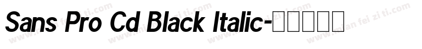 Sans Pro Cd Black Italic字体转换